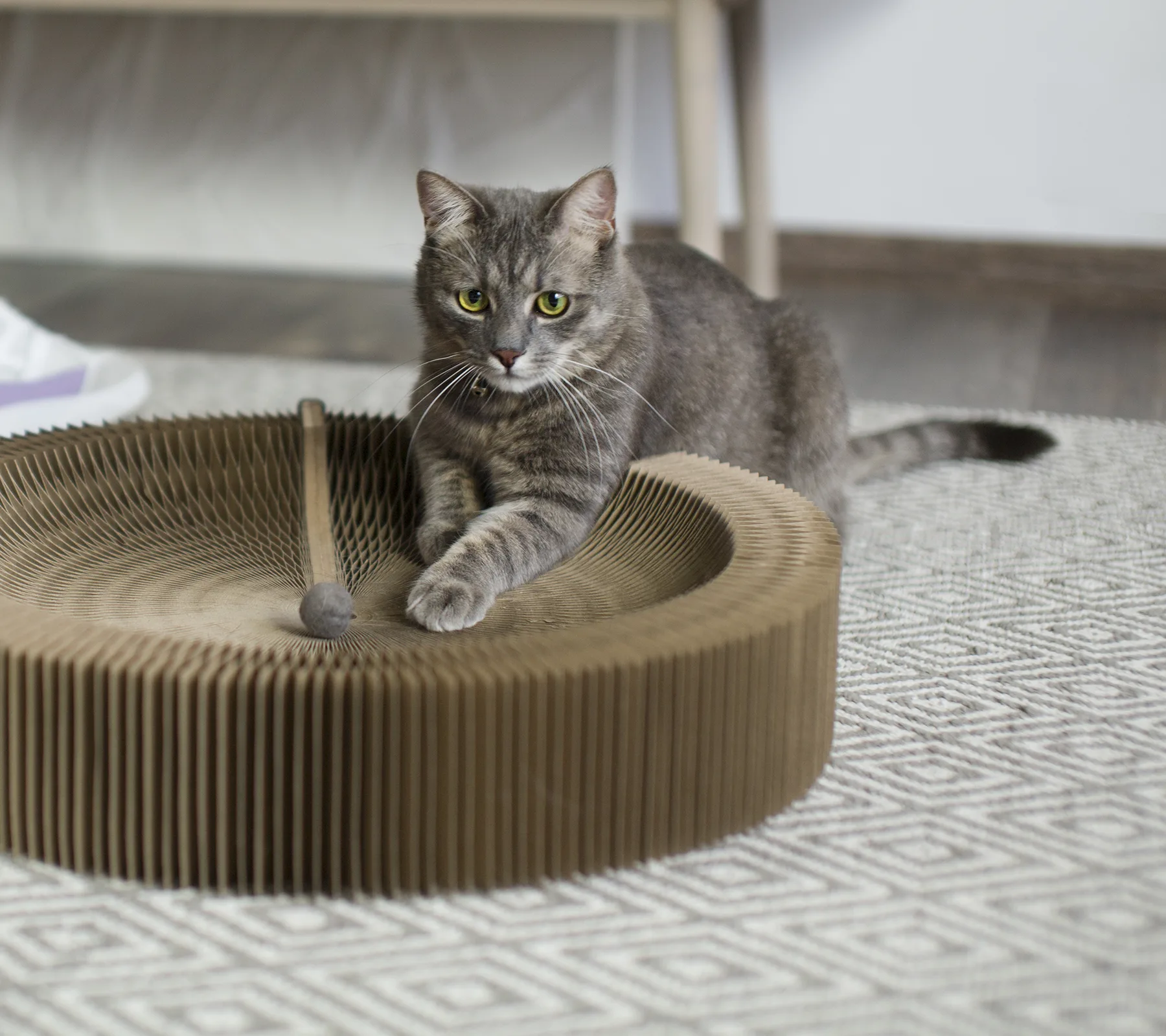 Paper cat scratcher