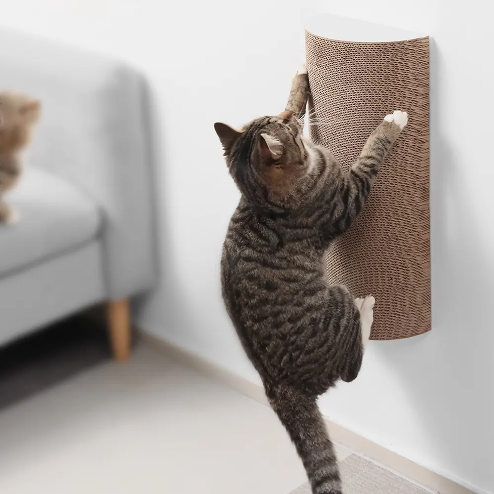 Wall Mounted Scratching Post