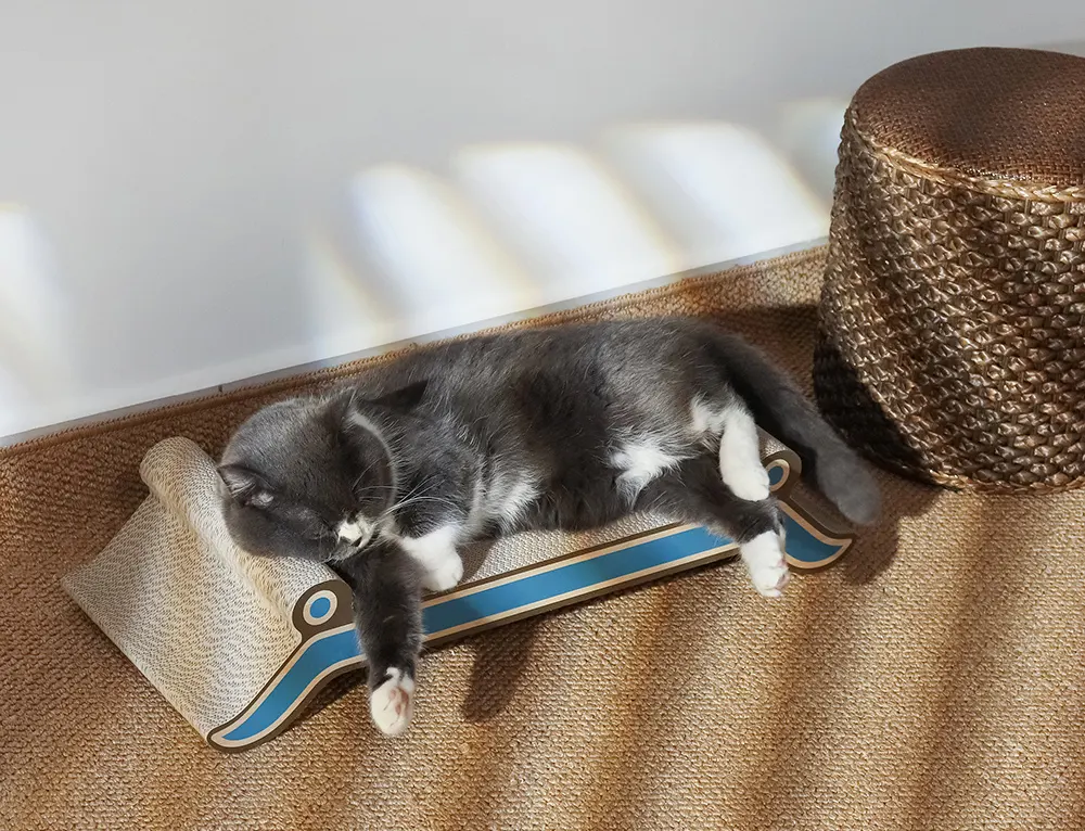 cardboard cat scratcher carpet