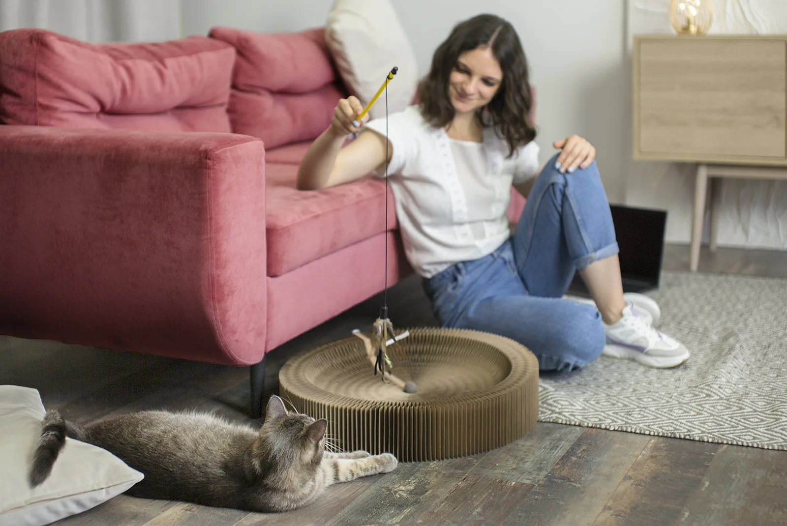 cat with cat scratcher