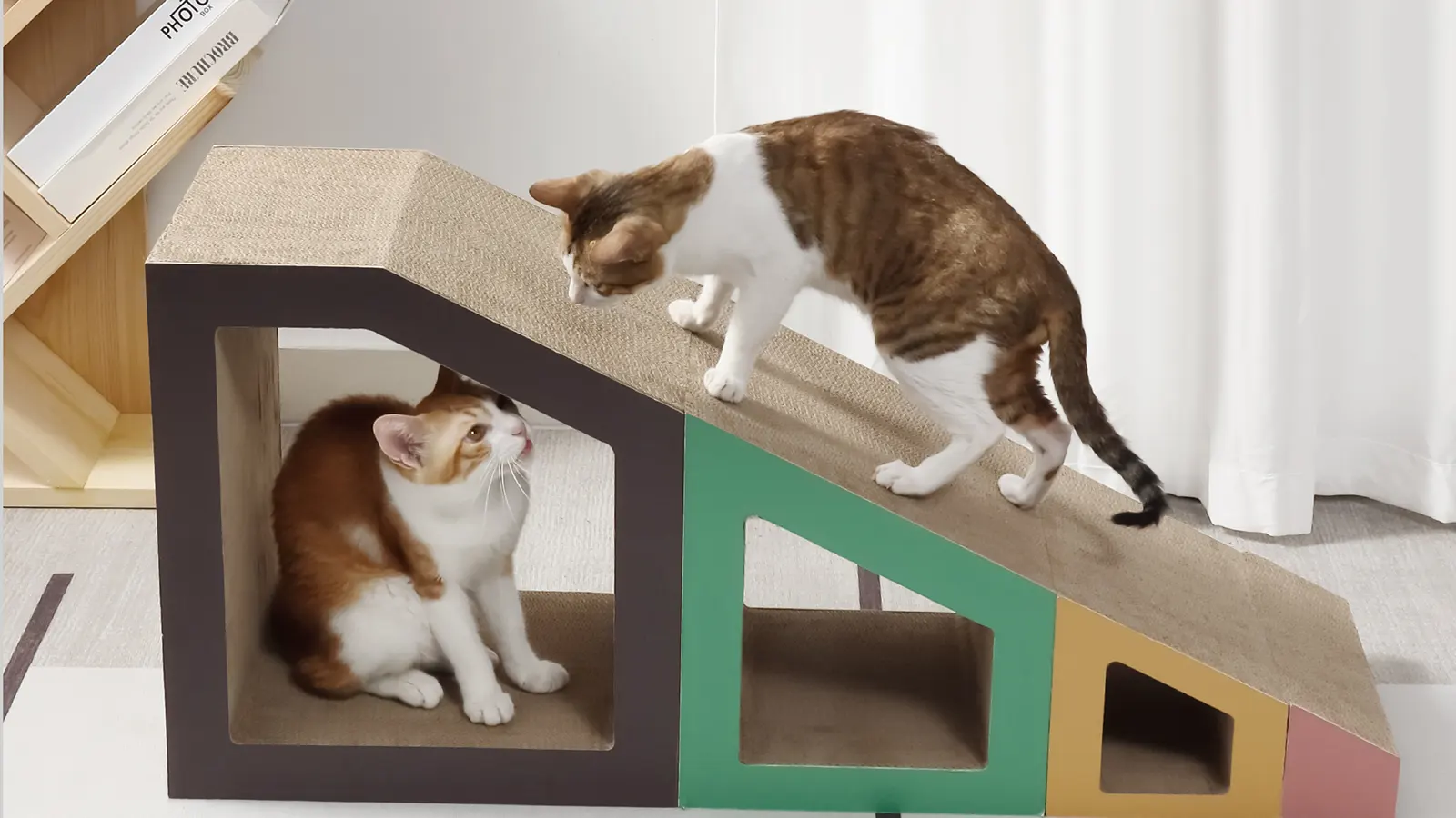 Upgrade Cat Products with Cardboard