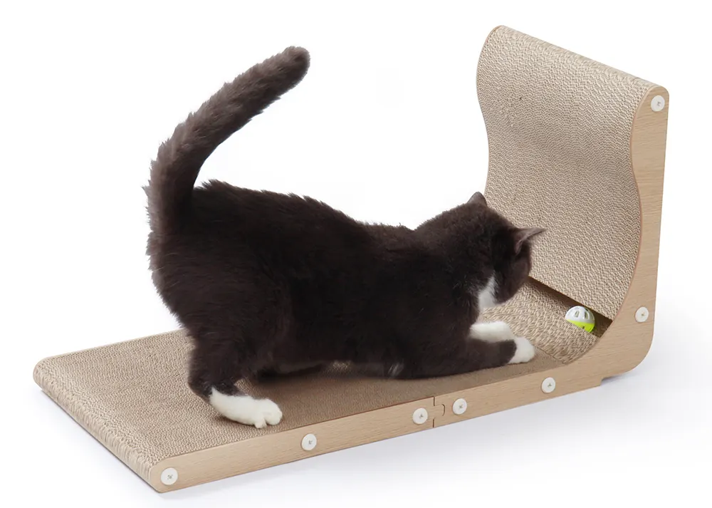 Cat Use a Scratcher