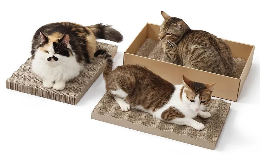 Top 6 Materials for Cat Scratchers