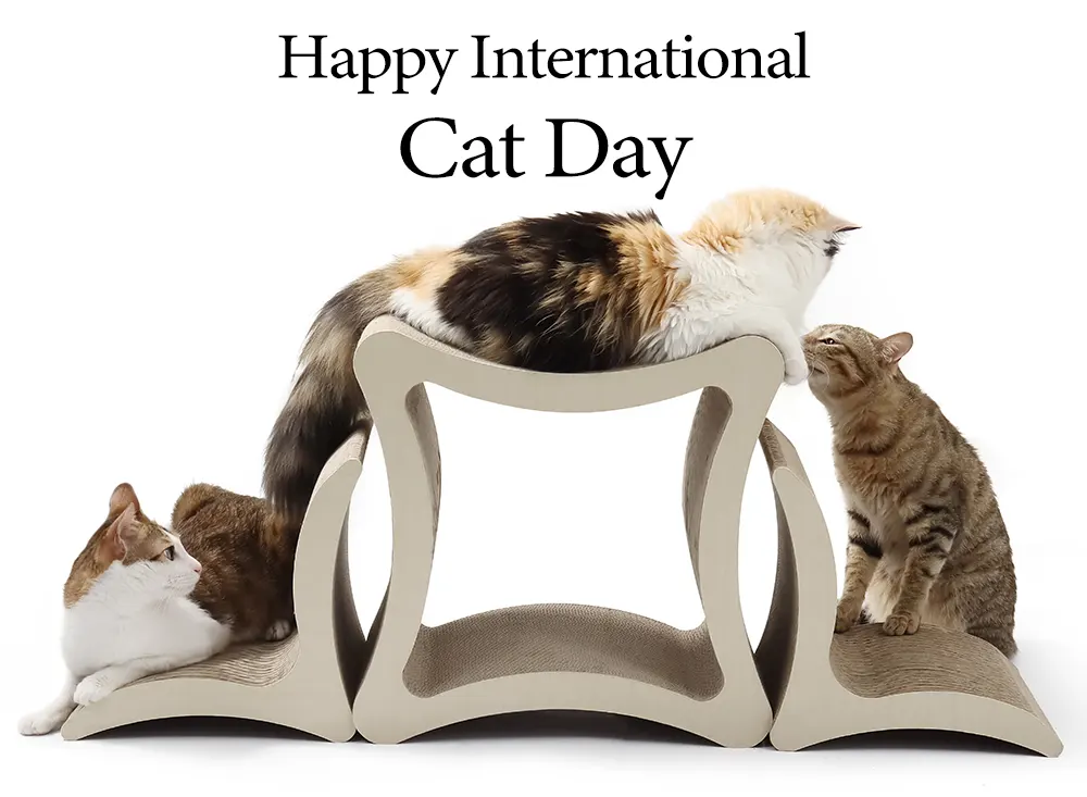 Happy International Cat Day