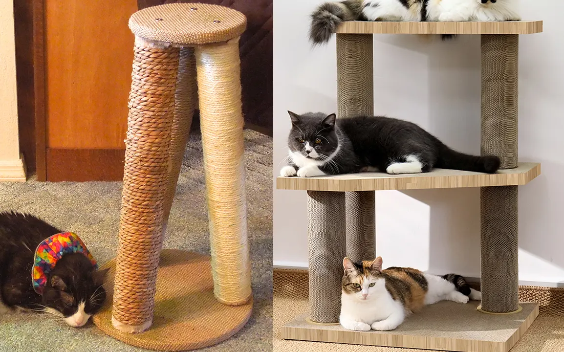 Sisal vs Cardboard Scratching Posts