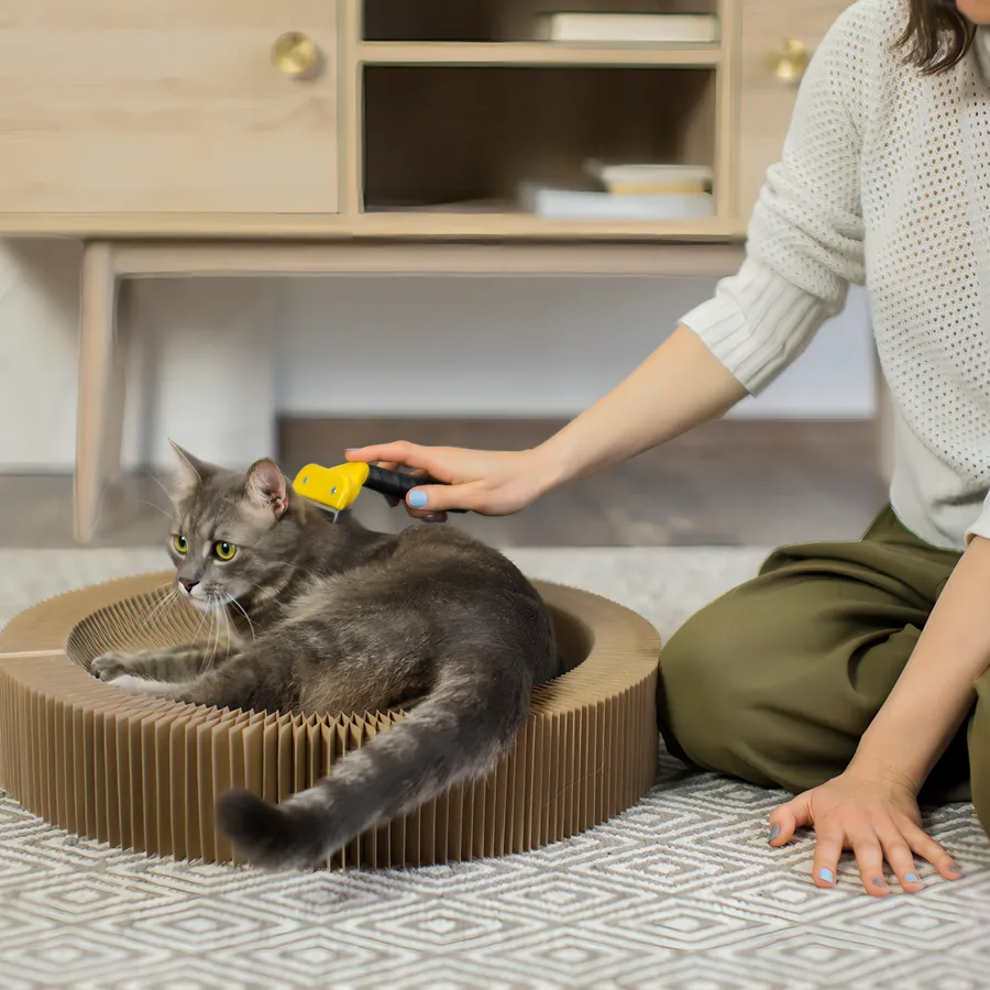 Cat Scratch Beds