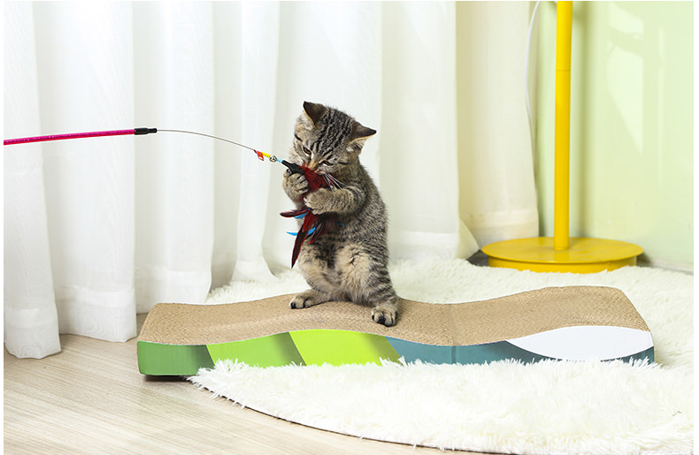 Wearproof Cat Scratching Pad in House