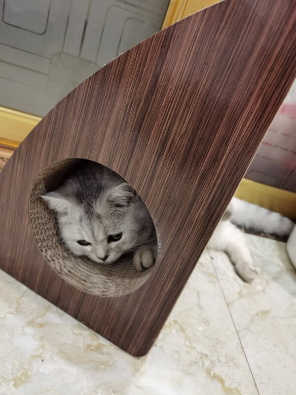 Corrugated Paper Cat Scratcher Play Bed