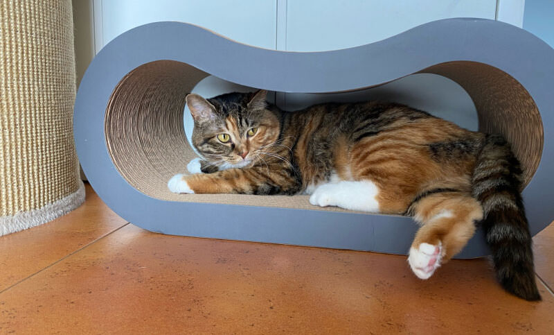 Amazon Wholesale Cardboard Cat Scratcher Factory